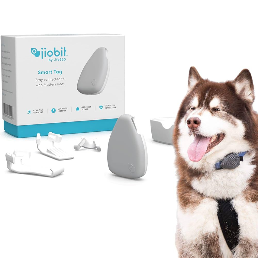 Jiobit By Life 360 Smart Tag (Works Within The US Only, Subscription Required)
