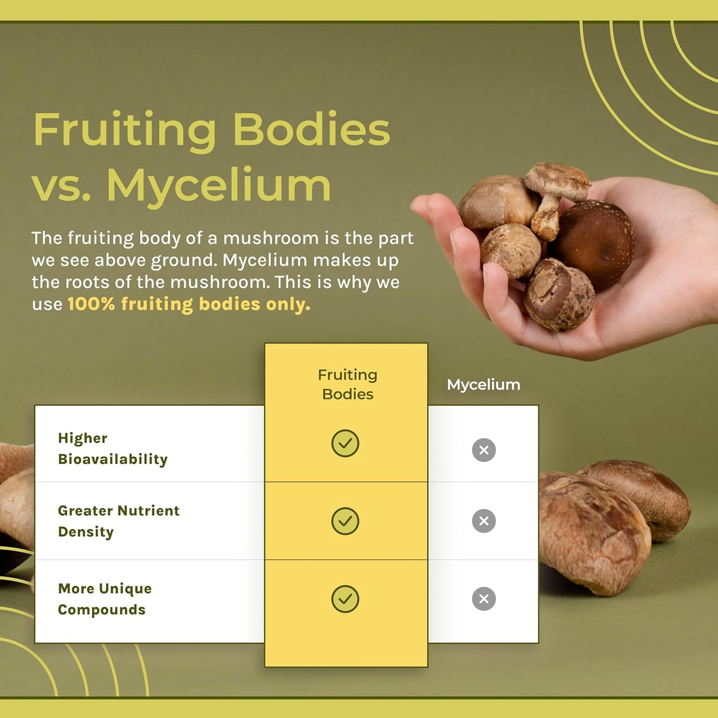 Naturealm Sacred 7 Mushroom Extract Powder 2 oz / 57g