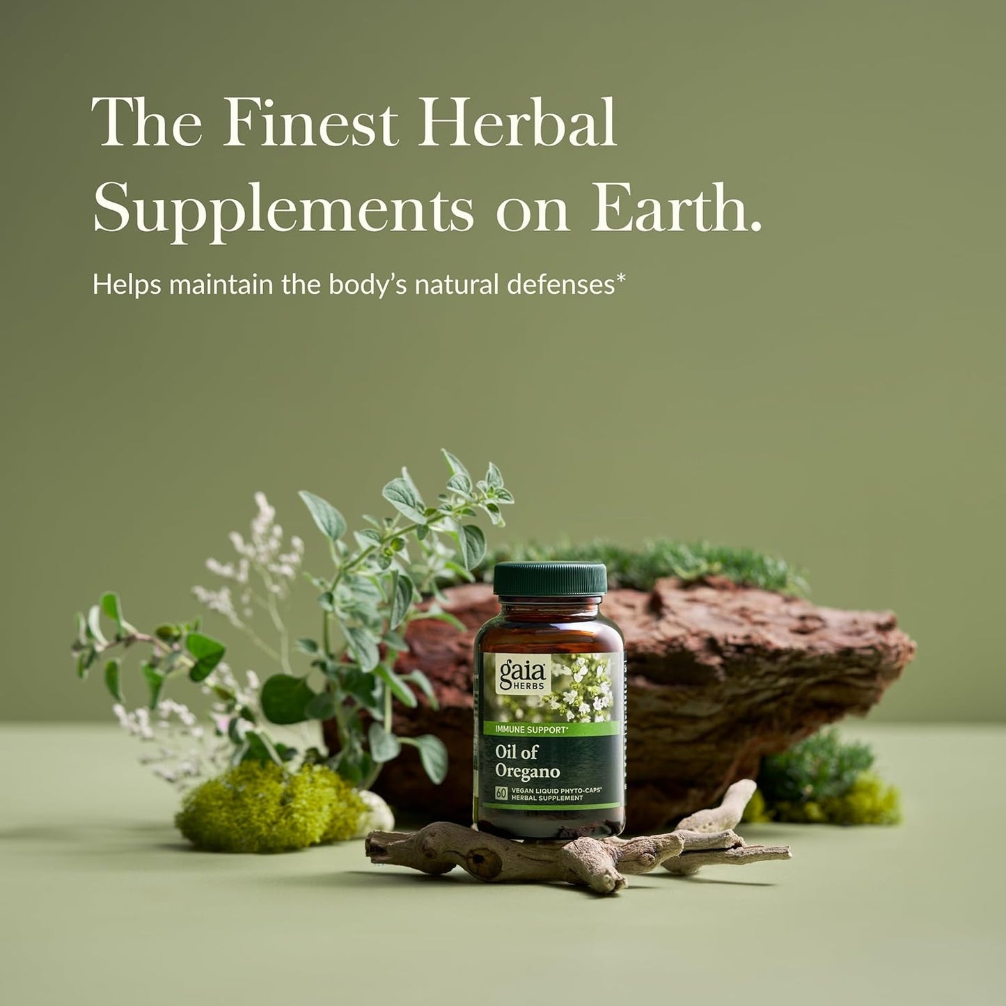 Gaia Herbs Oil of Oregano Immune Support, 60 Vegan Liquid Phyto-Caps