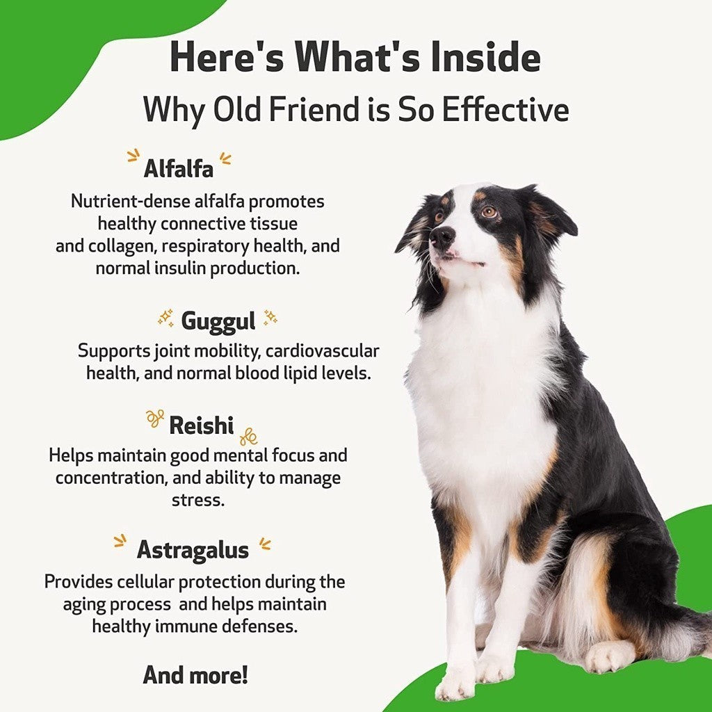 Pet Wellbeing Old Friend Optimal Health For Senior Dogs and Cats, 2 oz