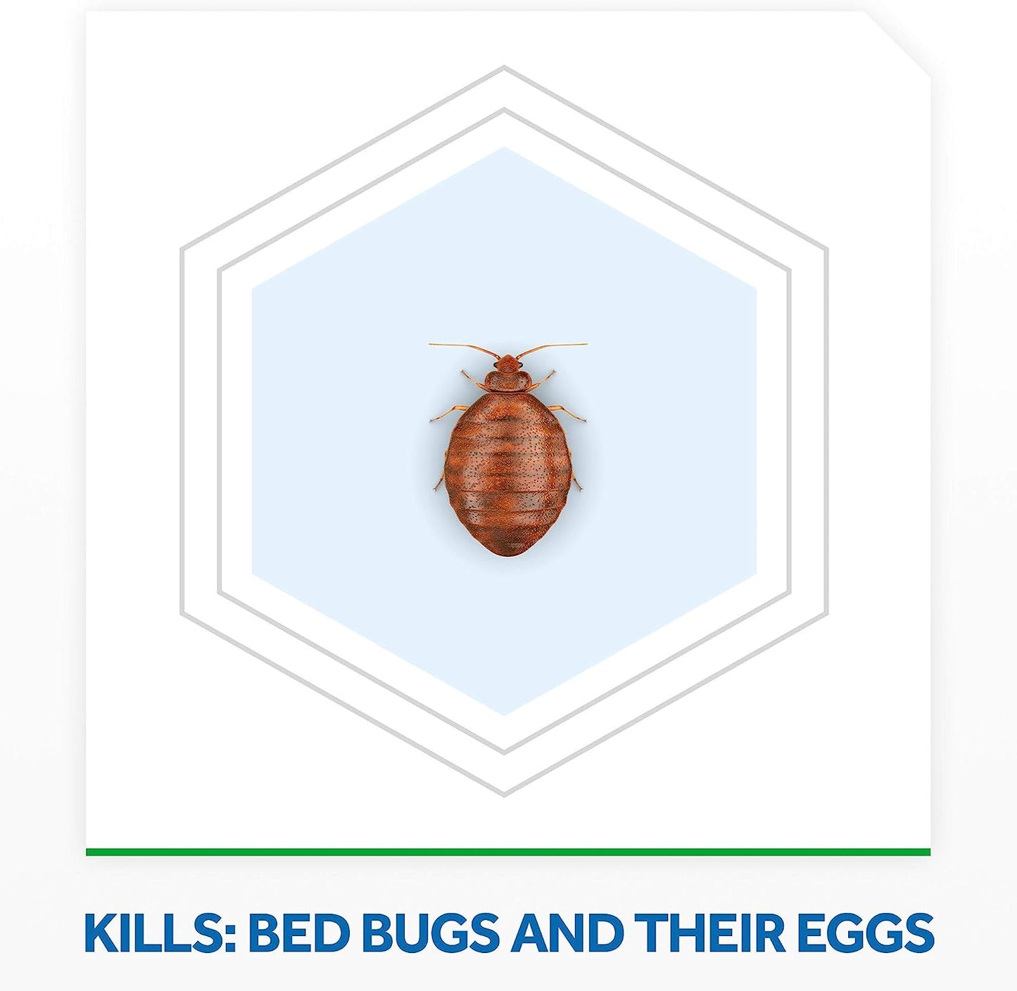 Raid Max Bed Bug Extended Protection Kills Bed Bug in 8 Weeks - 22 fl oz