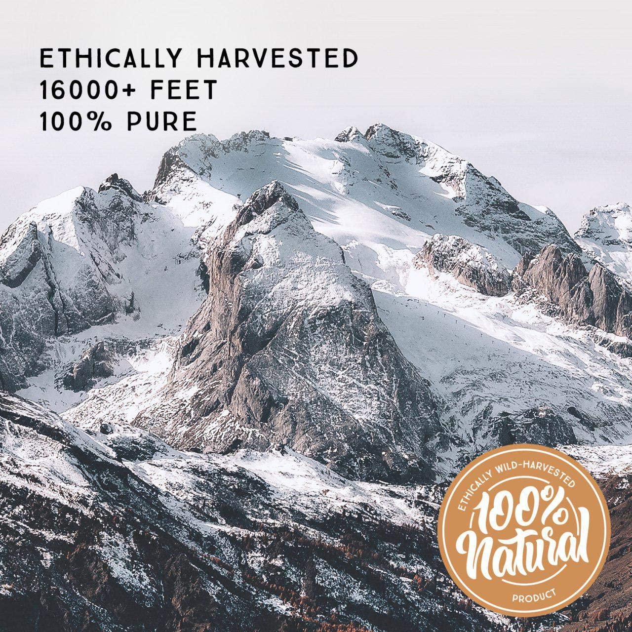 Pure Himalayan Shilajit Soft Resin Dietary Supplement, 0.5fl.oz./15ml