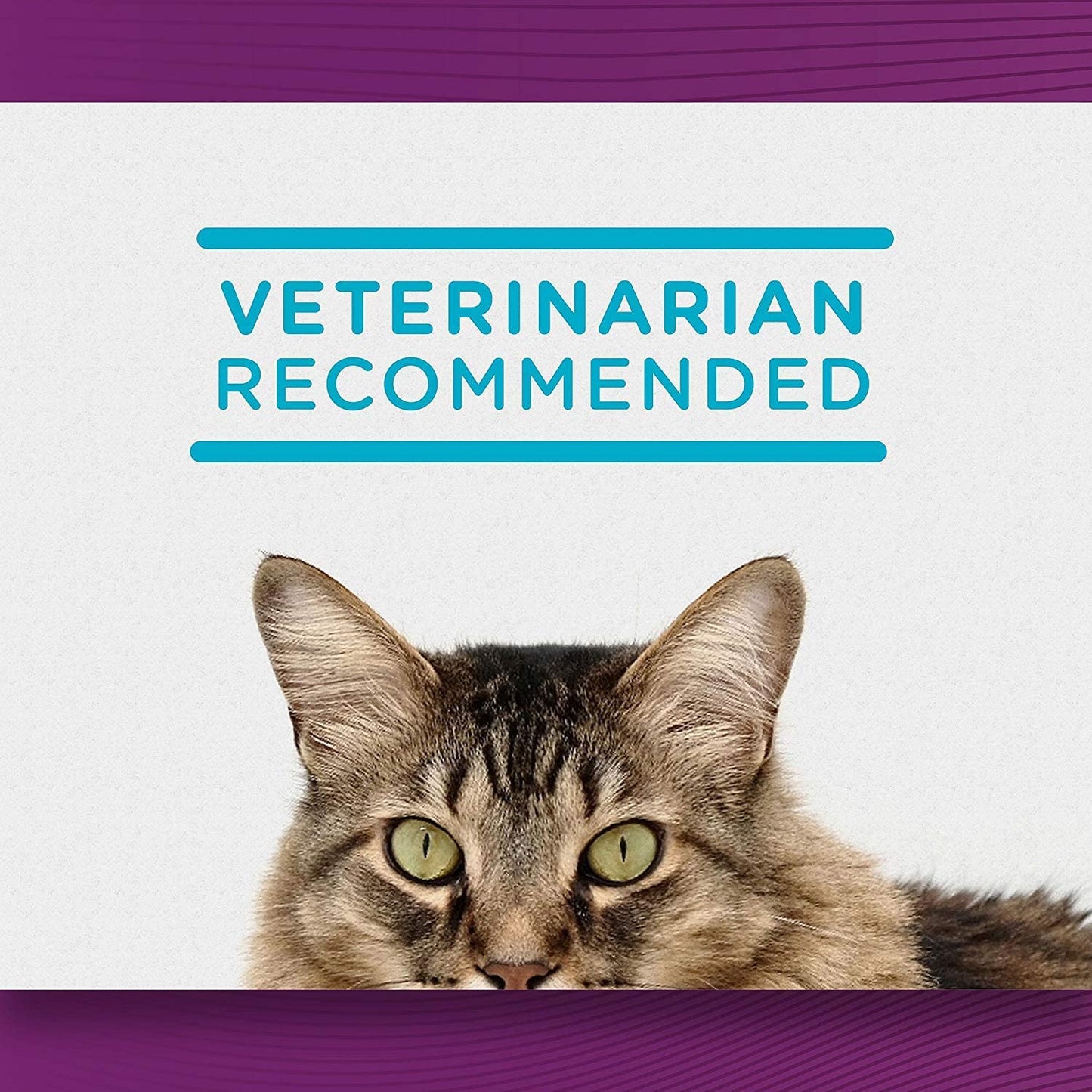 Comfort Zone Multi-Cat Calming Diffuser Refills, 2 Pack (1.62 oz / 48 ml)