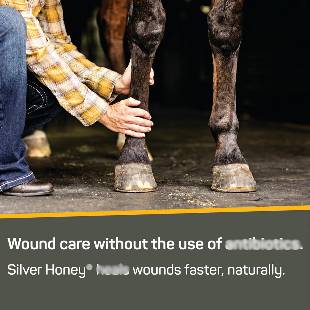 Absorbine Silver Honey Rapid Wound Repair Extra Strength Ointment, 2 oz / 56.7 g