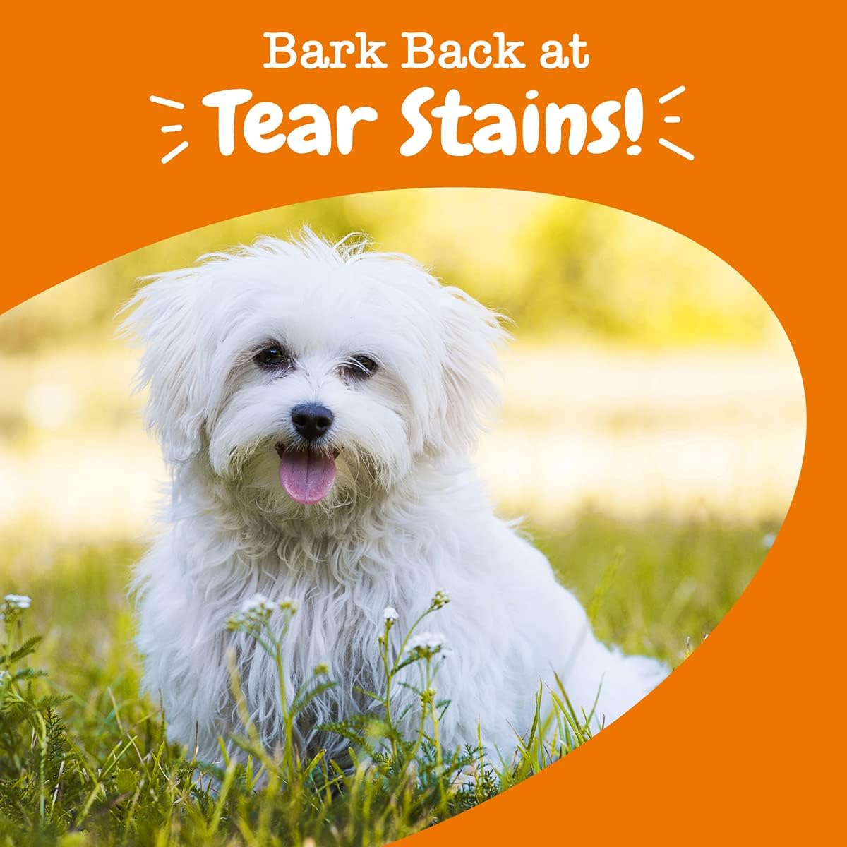 Zesty Paws Tear Stain Bites Chicken Flavor 90 Soft Chews