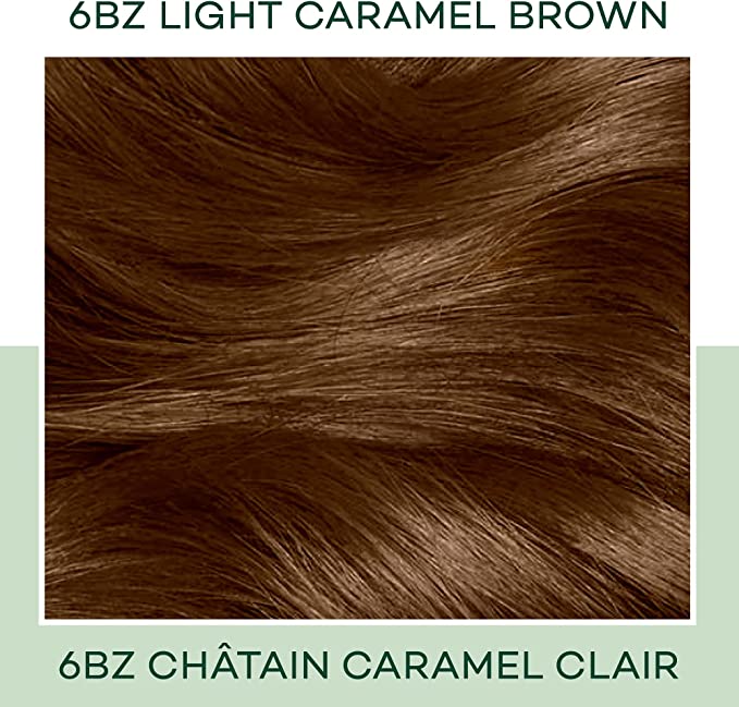Clairol Natural Instincts No Ammonia Hair Dye  1 Application (Semi Permanent)