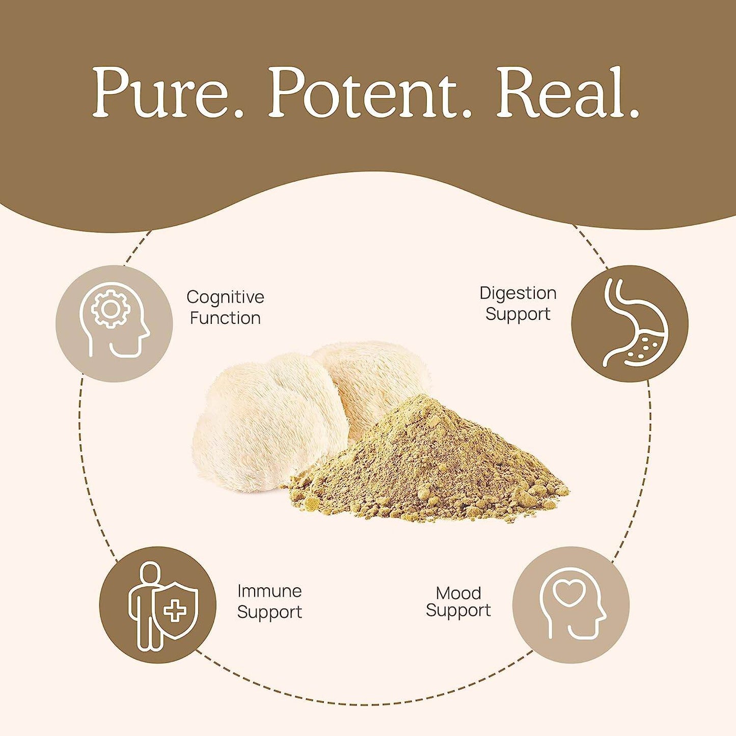 Real Mushroom Lion's Mane Cognition Mushroom Extract Powder (120 Capsules)