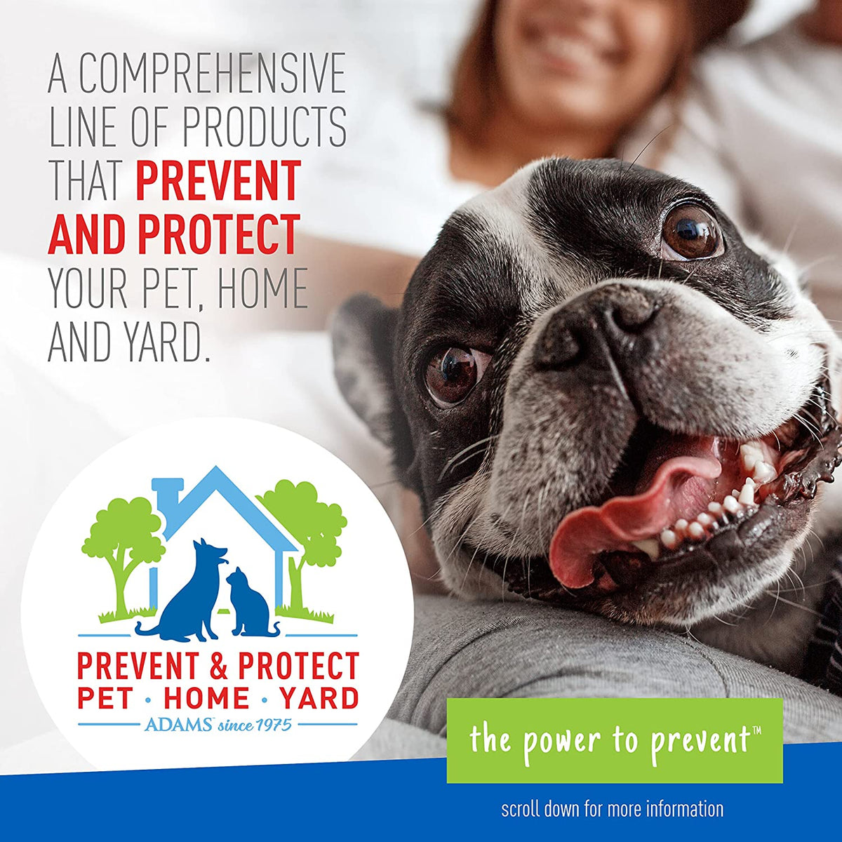 Adams Plus Flea & Tick Shampoo with Precor Fresh Scent, 6 oz / 178 ml