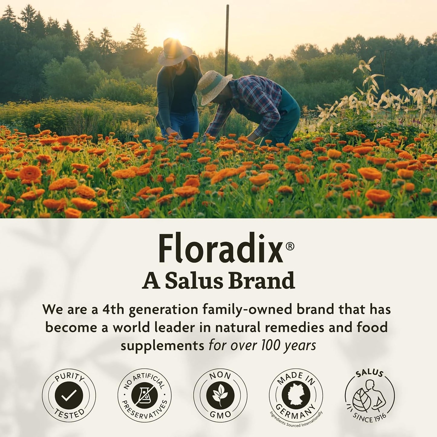 Salus Floradix Iron + Herbs Liquid Iron And Vitamin Formula Supplement 8.5 fl oz / 250ml