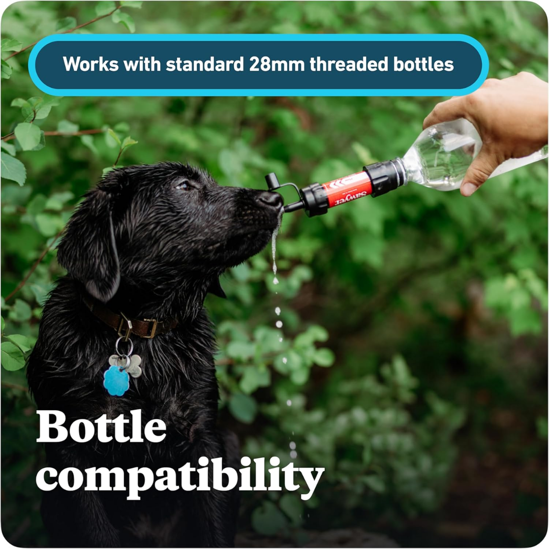 Sawyer Mini Water Filtration System