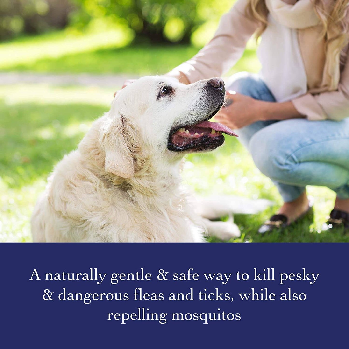 Richard’s Organics Flea and Tick Shampoo for Dogs with 5 All-Natural Essential Oils, 12 fl.oz / 354 ml