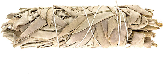 Medium Califronia White Sage for Purifying, Cleansing, Healing, Metaphysical and Meditation