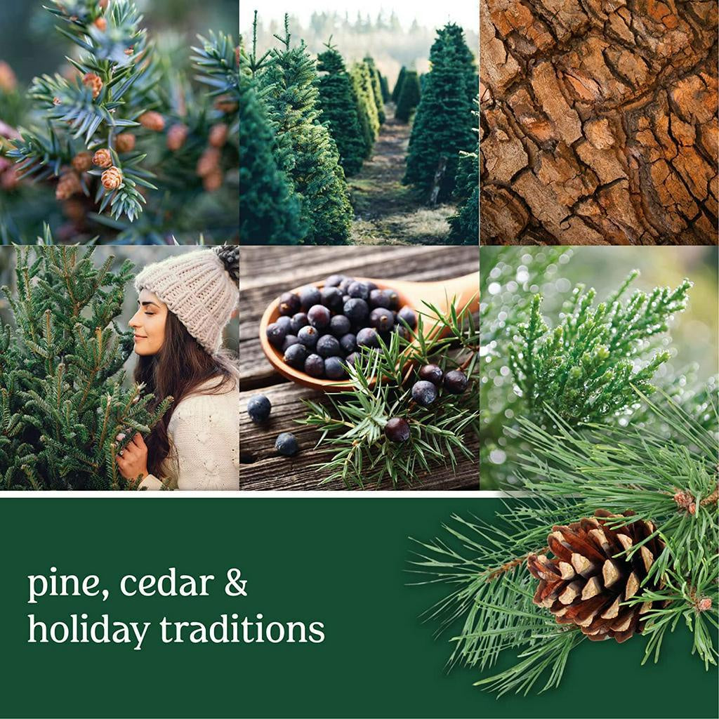 Yankee Candle Balsam & Cedar Scented Large Jar Single Wick Candle - 623g