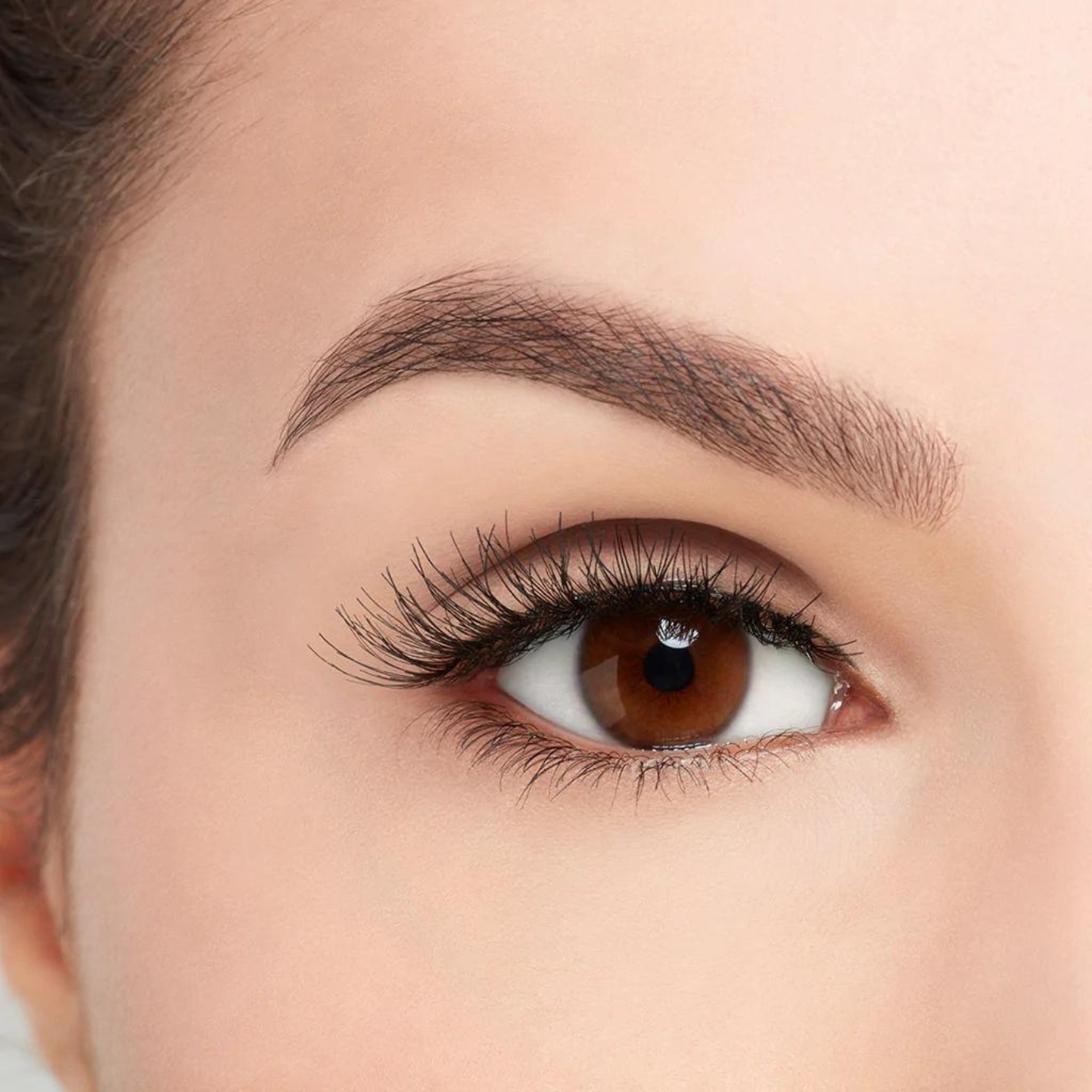 Ardell Deluxe Pack with 2 Pairs of 120 Demi Black Lashes, Adhesive and Lash Applicator