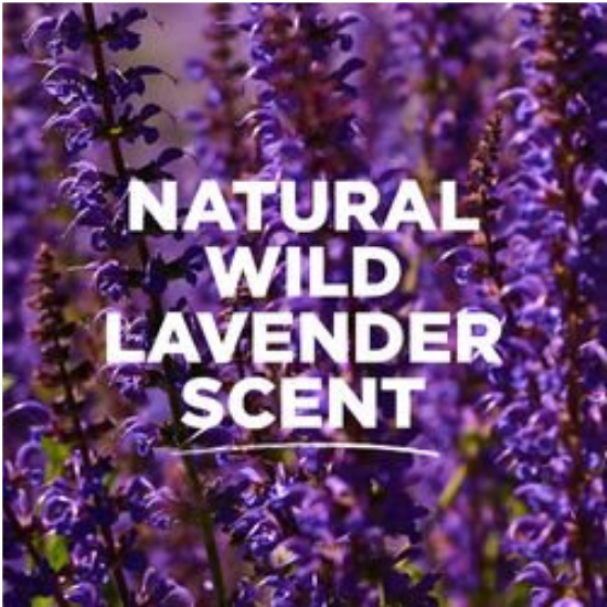 Tom's of Maine Long Lasting Deodorant Wild Lavender, 2.25 oz, / 64g