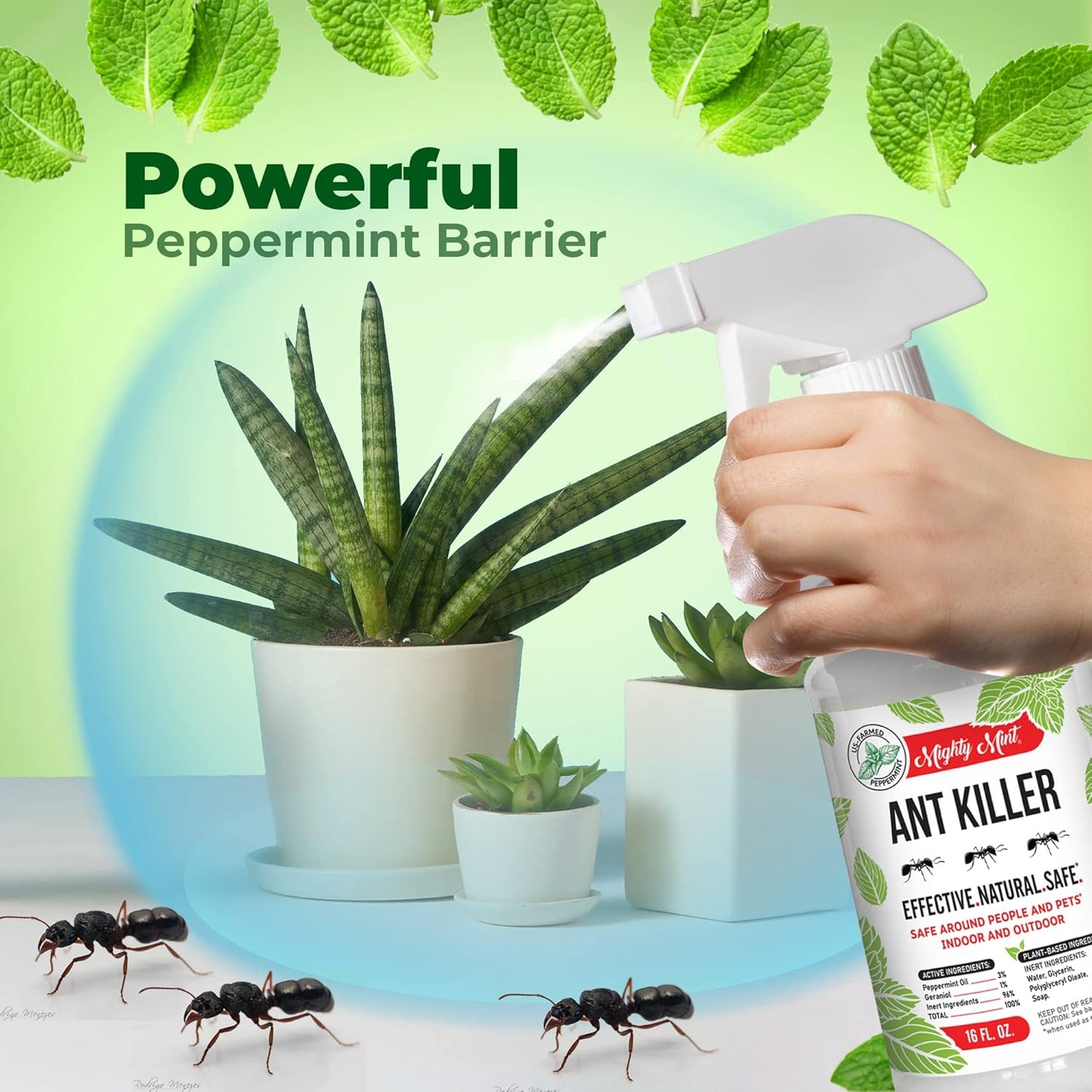 Mighty Mint Ant Killer For Indoor And Outdoor, 16 fl oz