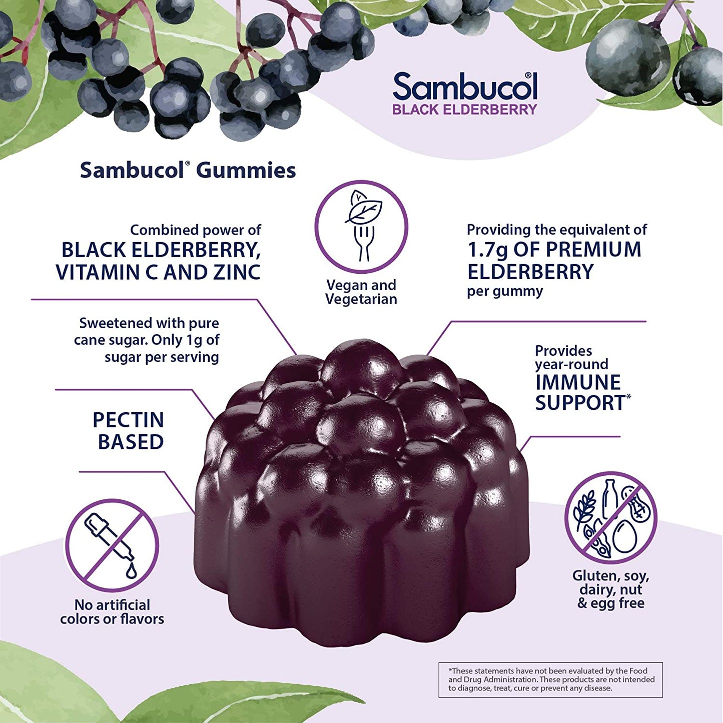 Sambucol Black Elderberry Gummies with Vitamin C & Zinc, 30 Gummies