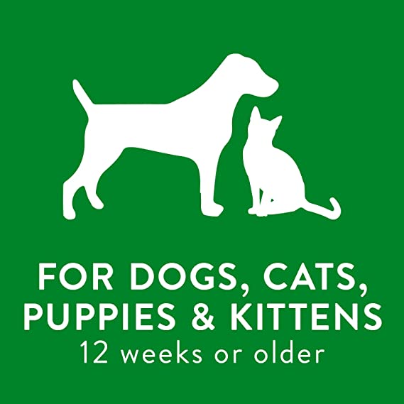 Tropiclean Hypoallergenic Puppy and Kitten Shampoo Natural Ingredients Gentle Coconut  20 fl. oz