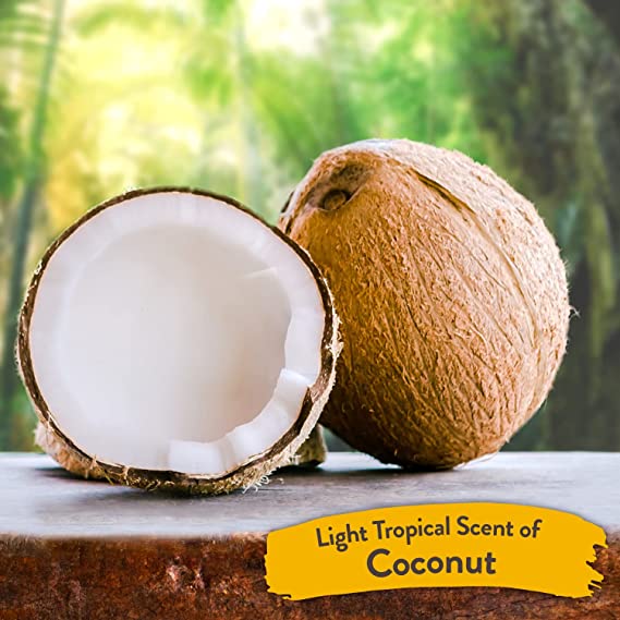 Tropiclean Hypoallergenic Puppy and Kitten Shampoo Natural Ingredients Gentle Coconut  20 fl. oz