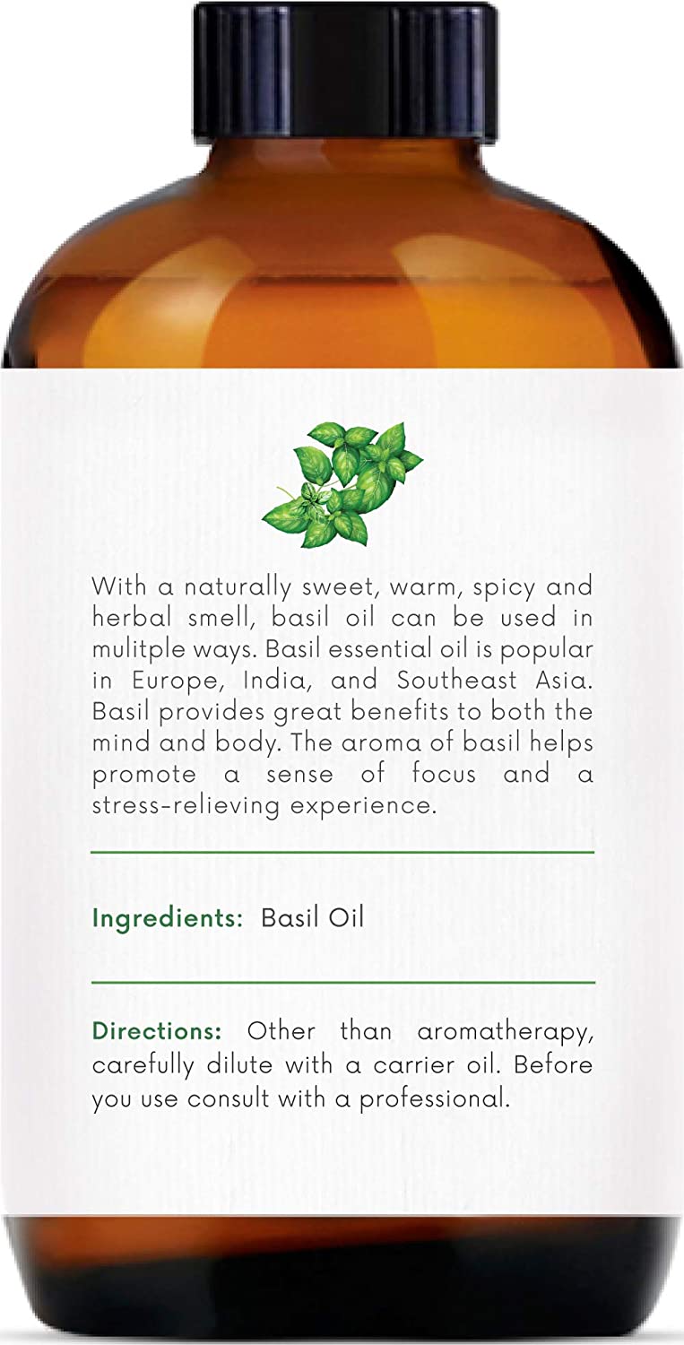 Handcraft Blends Basil Essential Oil Premium Therapeutic Grade 120 mL 1 Bottle