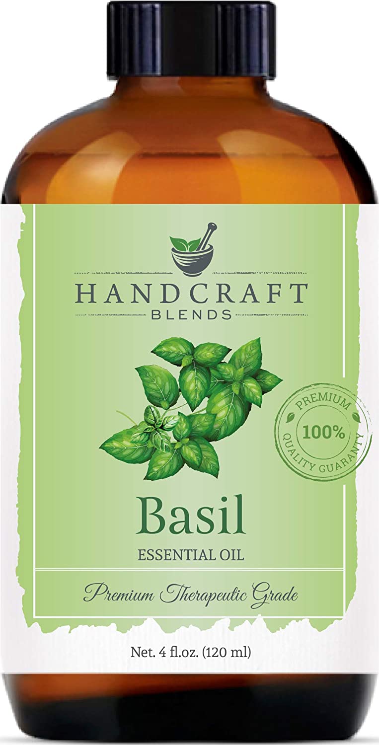 Handcraft Blends Basil Essential Oil Premium Therapeutic Grade 120 mL 1 Bottle