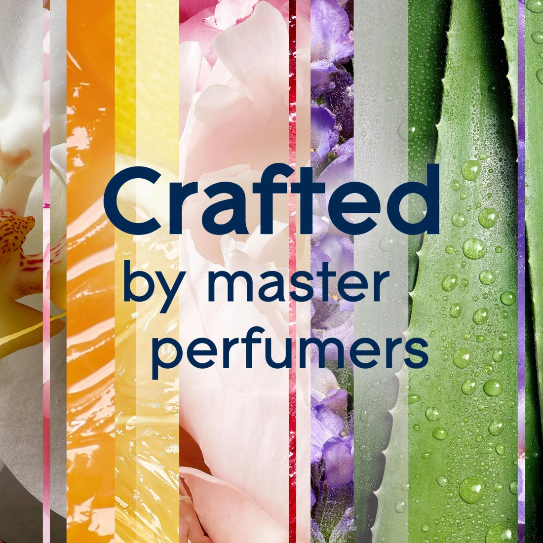 Glade Automatic Spray Refill Lavender & Vanilla Air Freshener Infused With Essential Oils 6.2 Oz