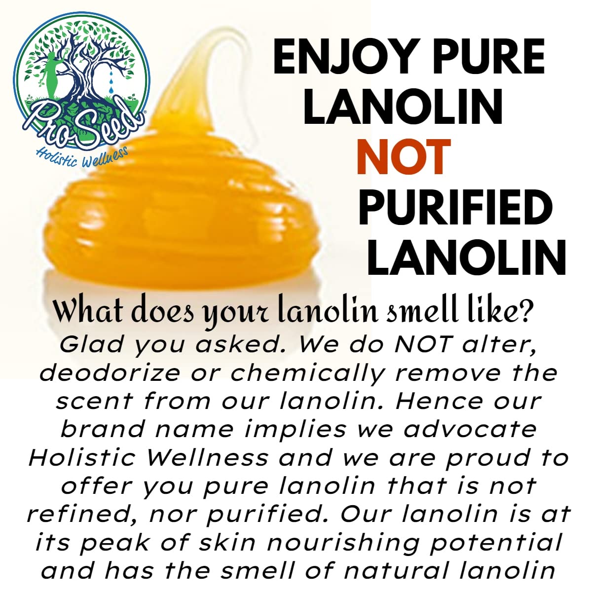 Vaseline Alternative 100% Pure Handmade Fresh Lan olin Holistic 58g