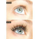 Majestic Pure Castor Oil for Eyelashes Growth Serum, Pure and Organic & Set of Mascara Brush and Eyeliner Applicator