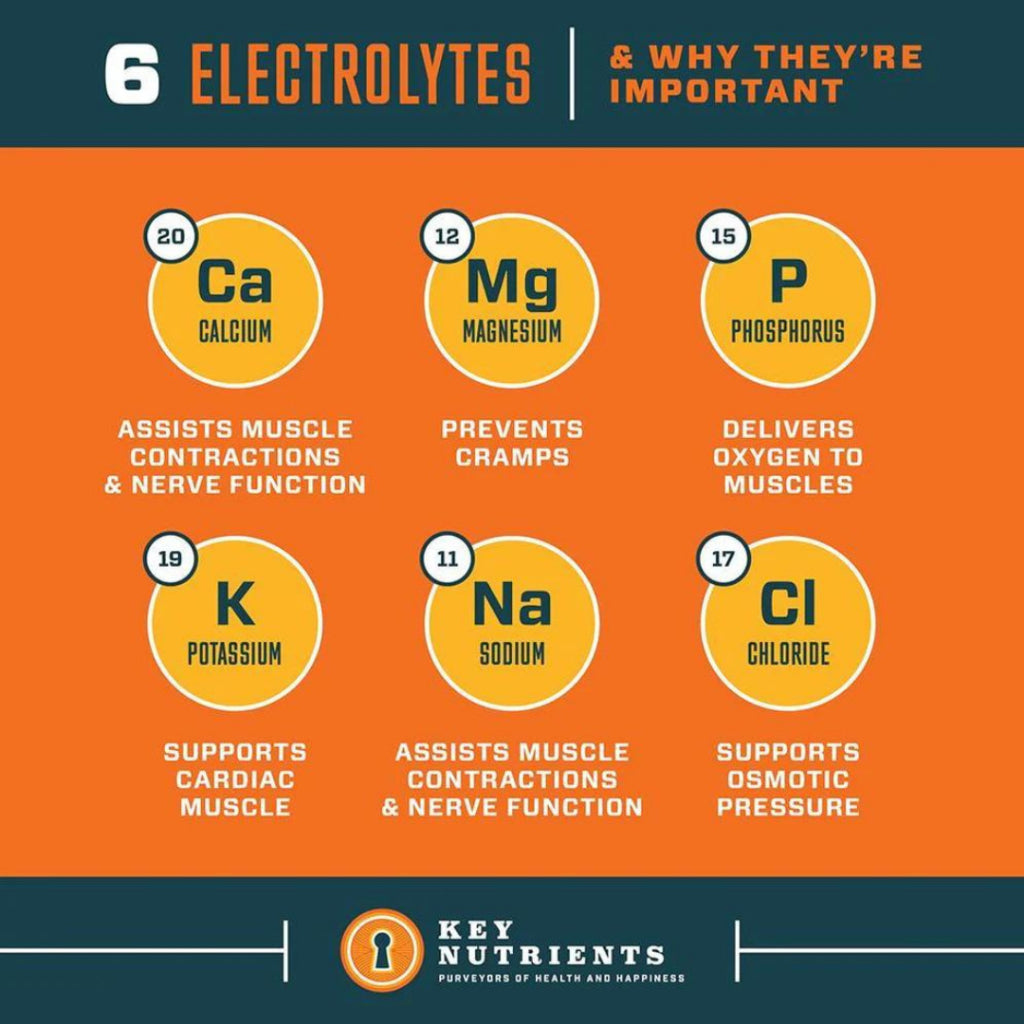 Key Nutrients Electrolyte Recovery Plus Orange Replenishment Drink 13.3 oz / 378g