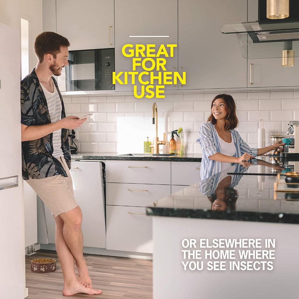 Raid Ant & Roach Killer Made with Lemongrass Extract & Geraniol Synthesized From Pine Trees - 312g