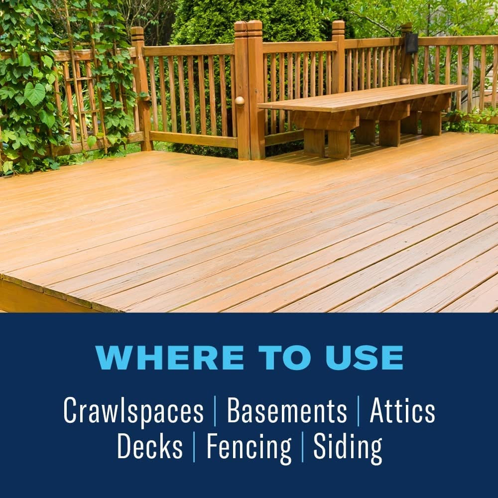 Bioadvanced Termite & Carpenter Bee Killer Plus Foam - 532.3ml