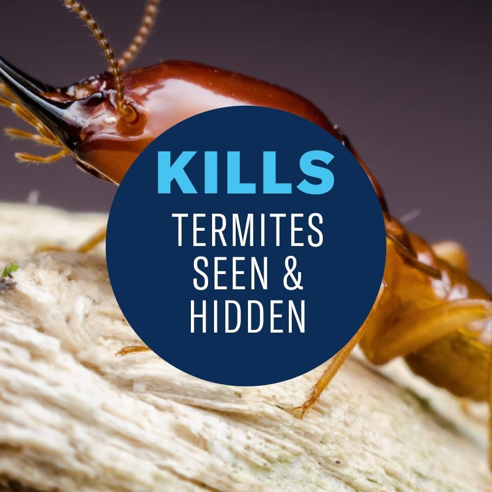 Bioadvanced Termite & Carpenter Bee Killer Plus Foam - 532.3ml