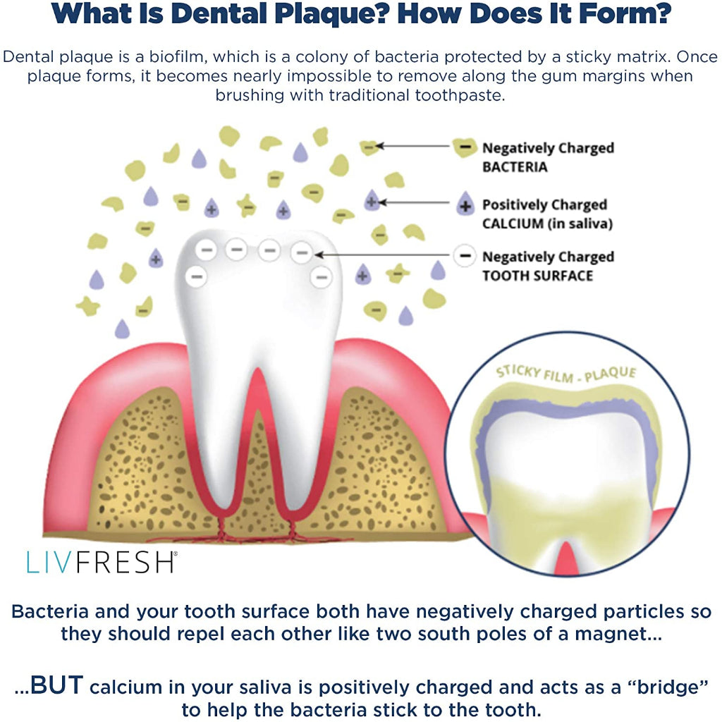 LIVFRESH Gel Toothpaste Wintergreen Dentist Recommended Whitening &FoamingDentalGel 1Tube 1.75oz/50g