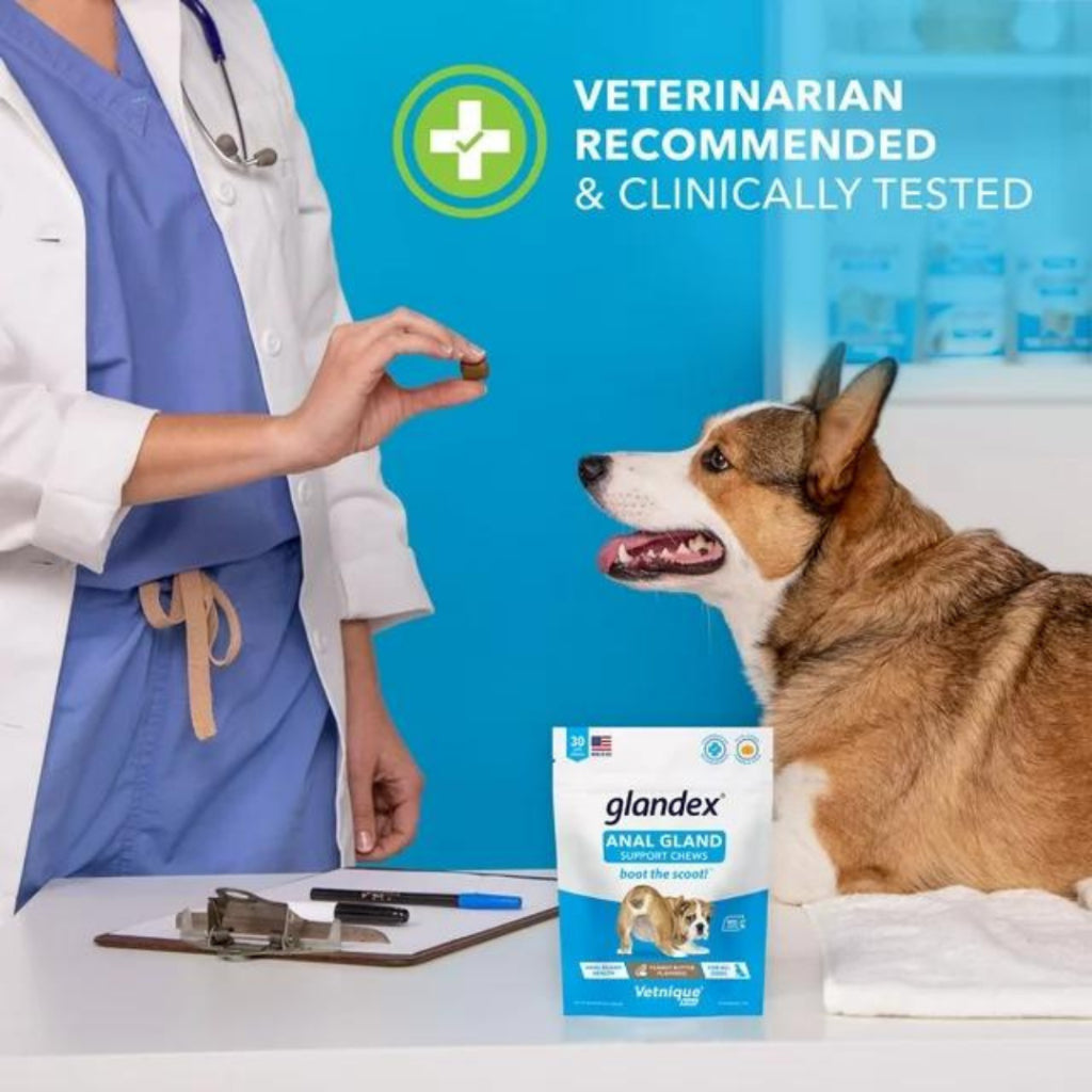 GLANDEX Vetnique An'al Gland Digestive Enzymes Peanut Butter for All Dogs Boot The Scoot