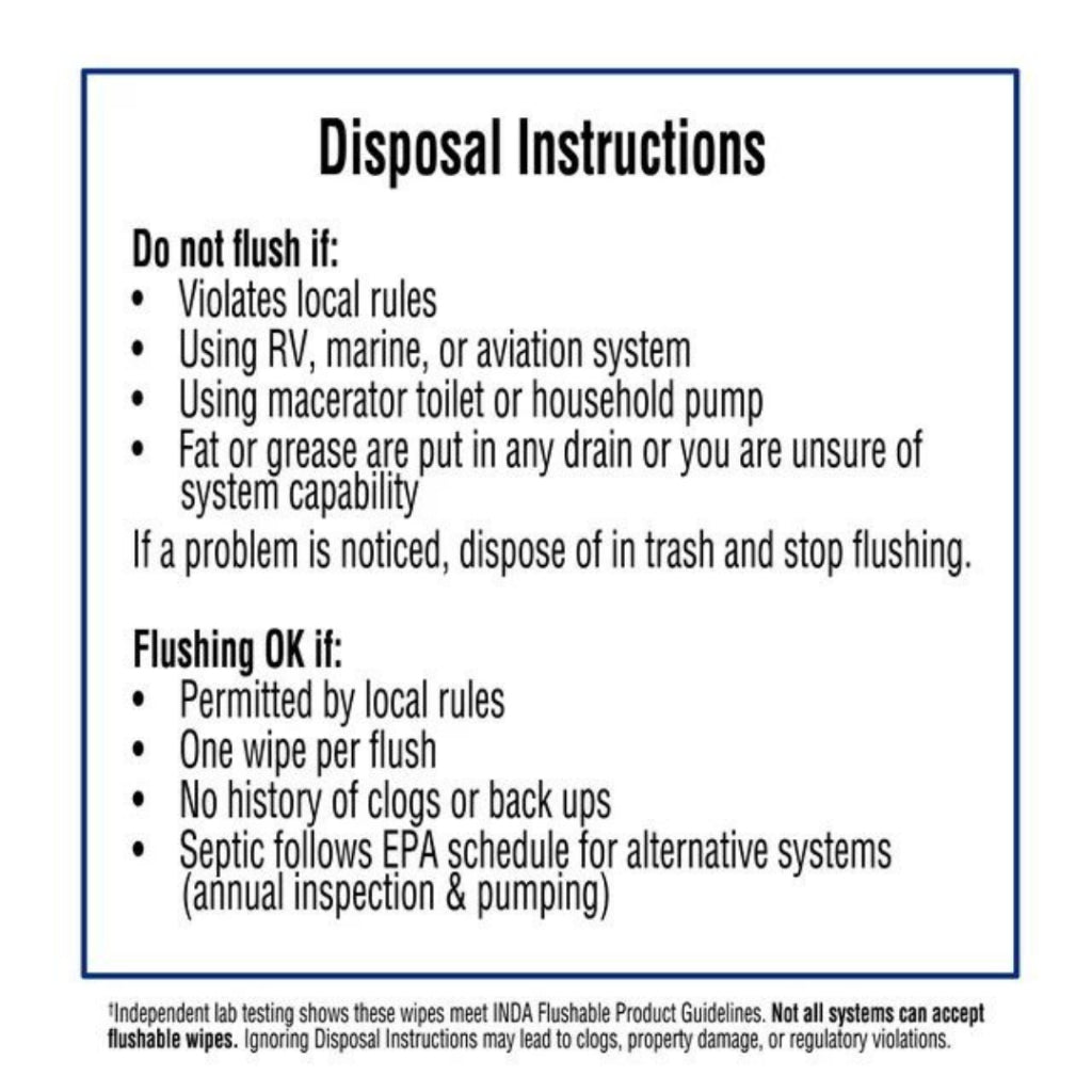 Equate Fresh Scent Flushable Wipes 17.7cm x 13.3cm - 48 Wipes