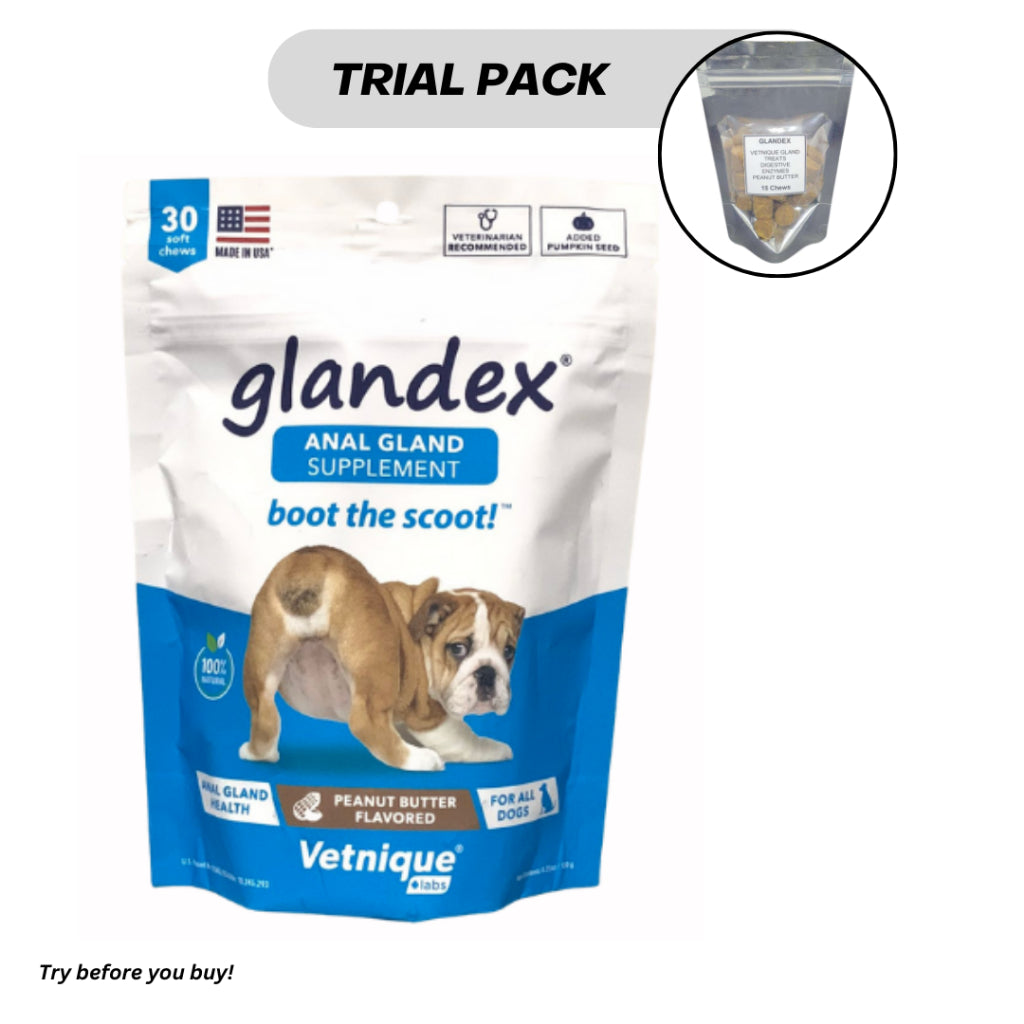 GLANDEX Vetnique An'al Gland Digestive Enzymes Peanut Butter for All Dogs Boot The Scoot