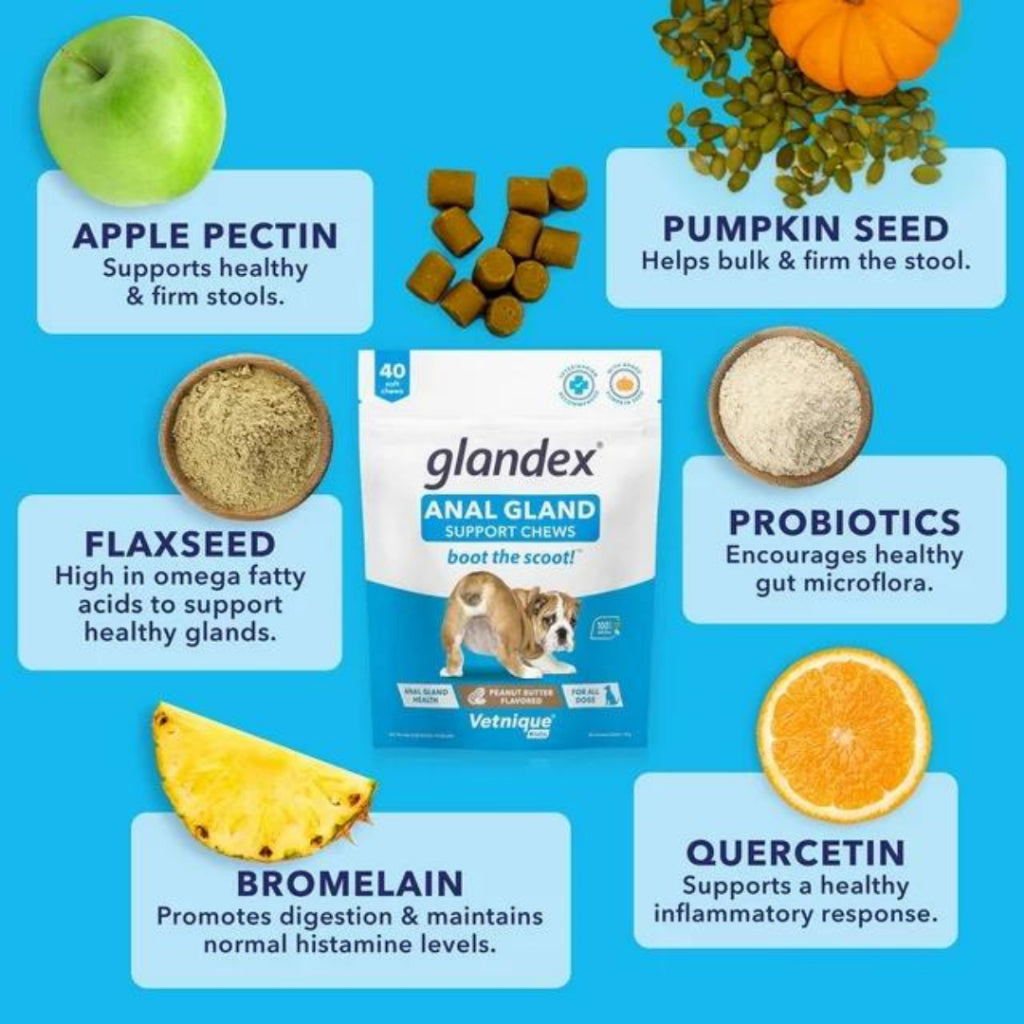 GLANDEX Vetnique An'al Gland Digestive Enzymes Peanut Butter for All Dogs Boot The Scoot