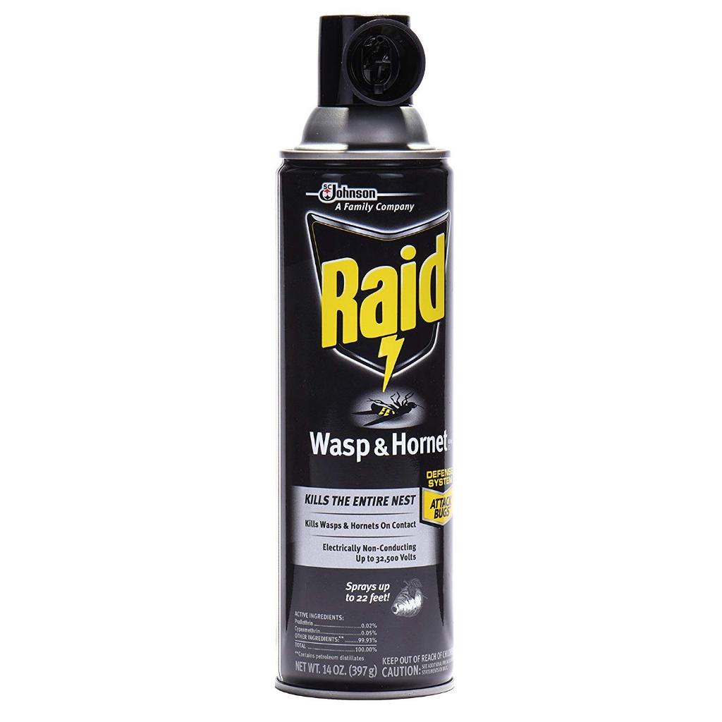 Raid Wasp & Hornet Killer Spray - 397g / 14oz