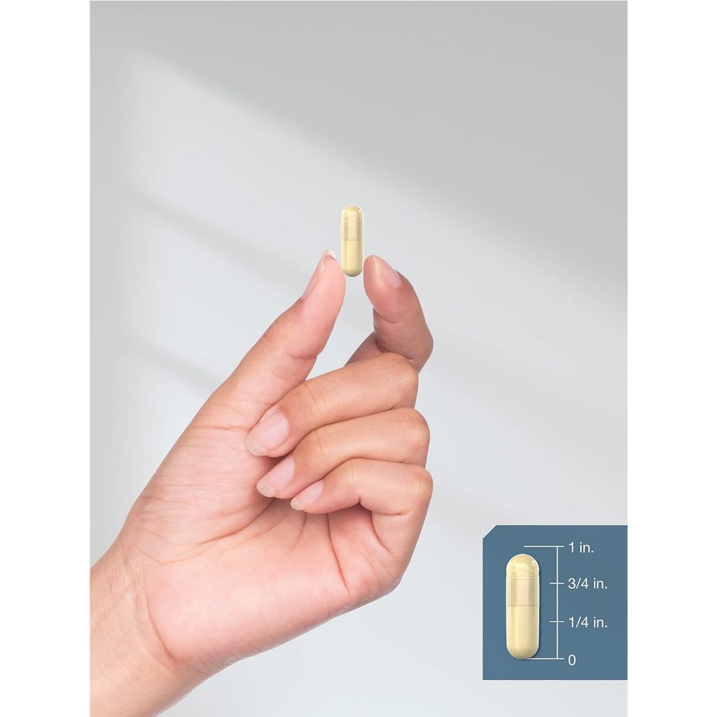 Horbaach Alpha Lipoic Acid with Biotin Optimizer 600mg  240 Capsules