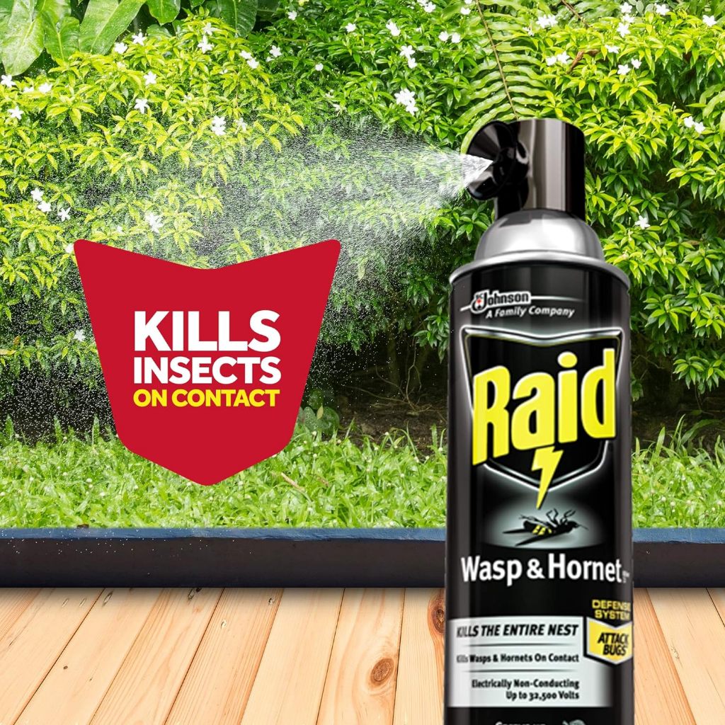 Raid Wasp & Hornet Killer Spray - 397g / 14oz