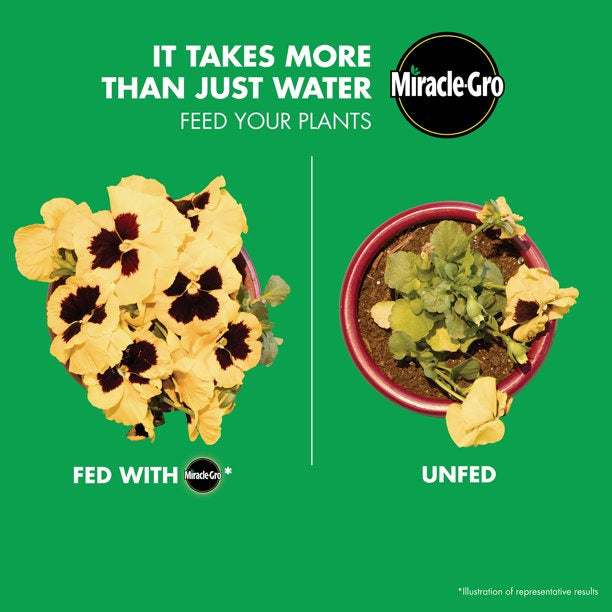 Miracle Gro LiquaFeed Plant Food for Tomato, Fruits and Vegetables 16 Oz