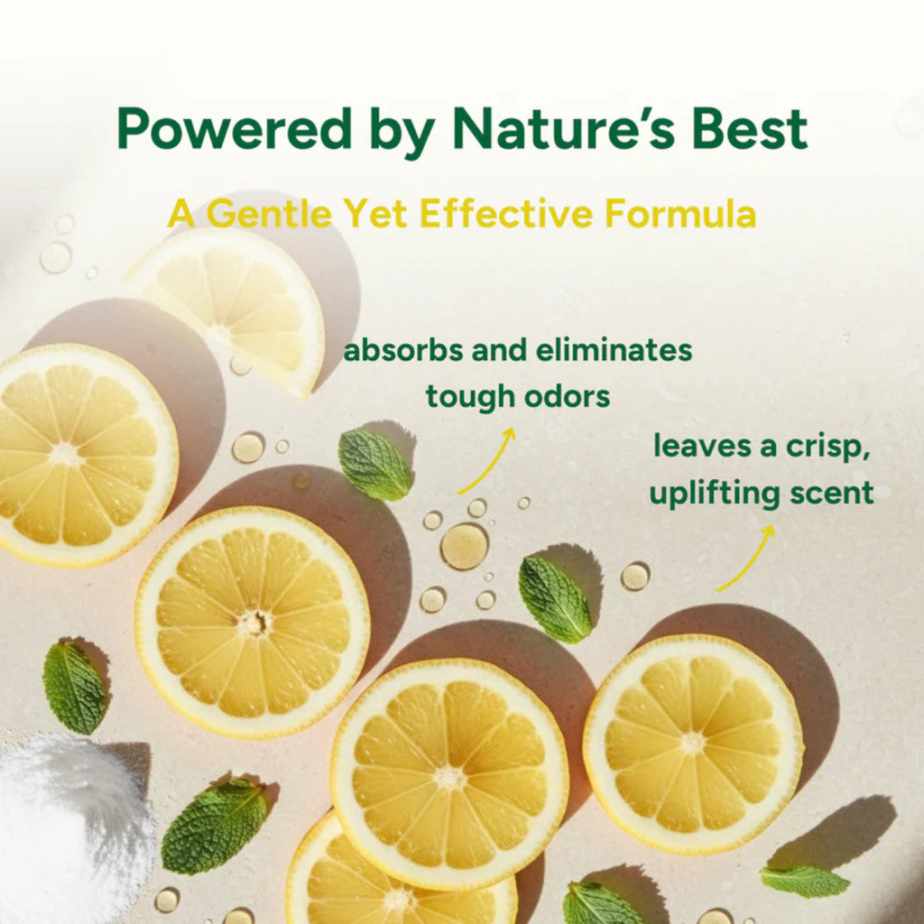 Good Natured Brand Carpet Deodorizer Lemon Love, 31 oz / 878 g