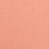 Wet n Wild Color Icon Blush 5.85g (326B - Rose Champagne)