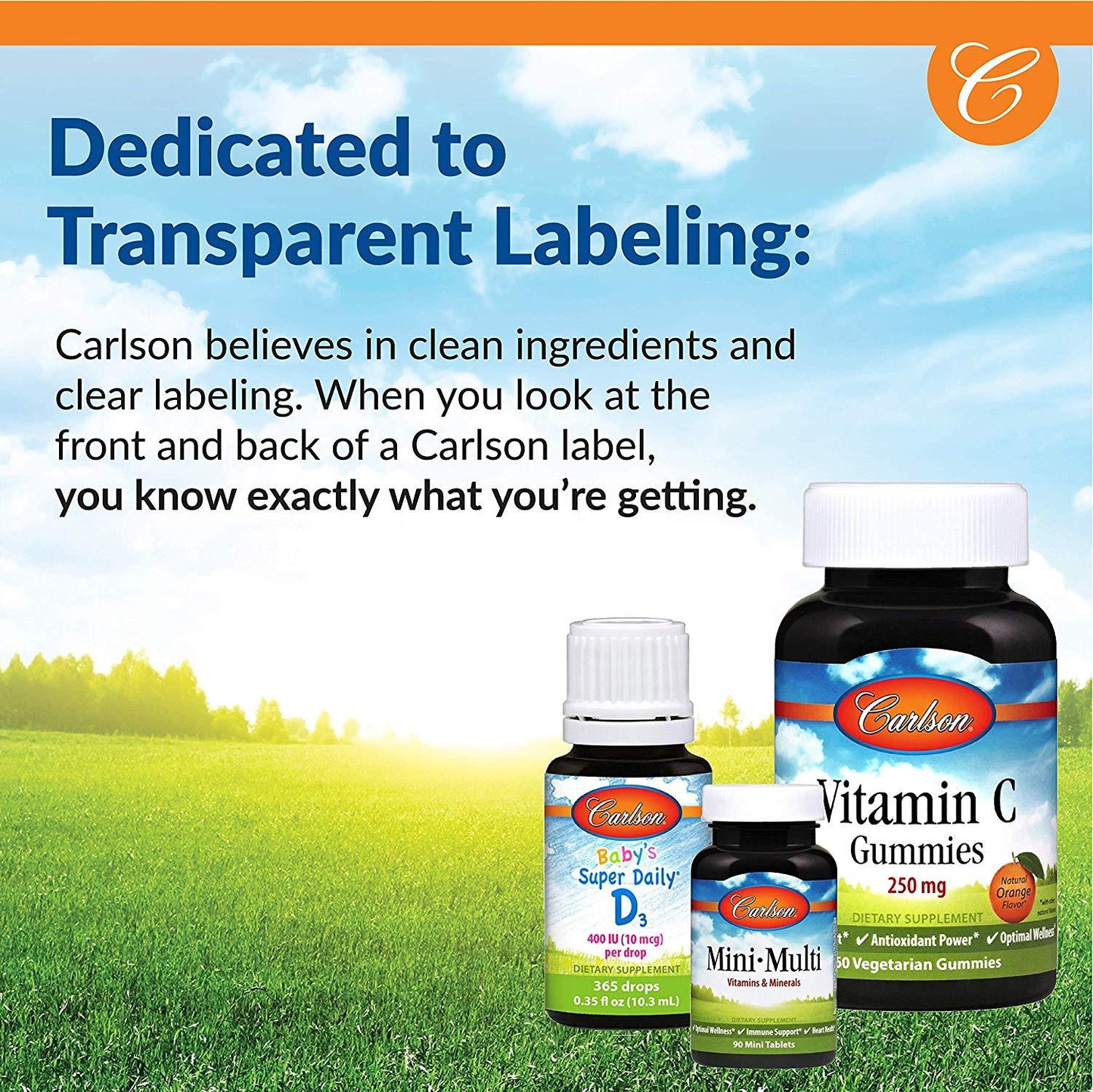 Carlson Kid's Chewable Vitamin C, 250 mg Natural Tangerine Flavor 60 Vegetarian Tablets Immune Support
