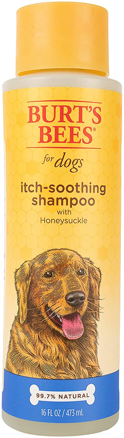 Burt's Bees Dog Shampoo - Anti-Itching - 16 oz